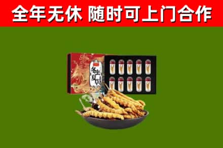 赣州市回收冬虫夏草价格